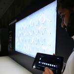 FL2019_2019_219_The_Wall_UX