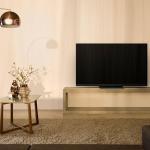panasonicgz2000-1l