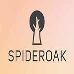 SpiderOak ONE
