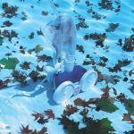 featured-pool-cleaner