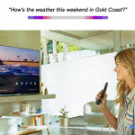 2_Google-Assistant