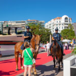CANNES YACHTING FESTIVAL 2024 – ATMOSPHERE – EXHIBITION AREA